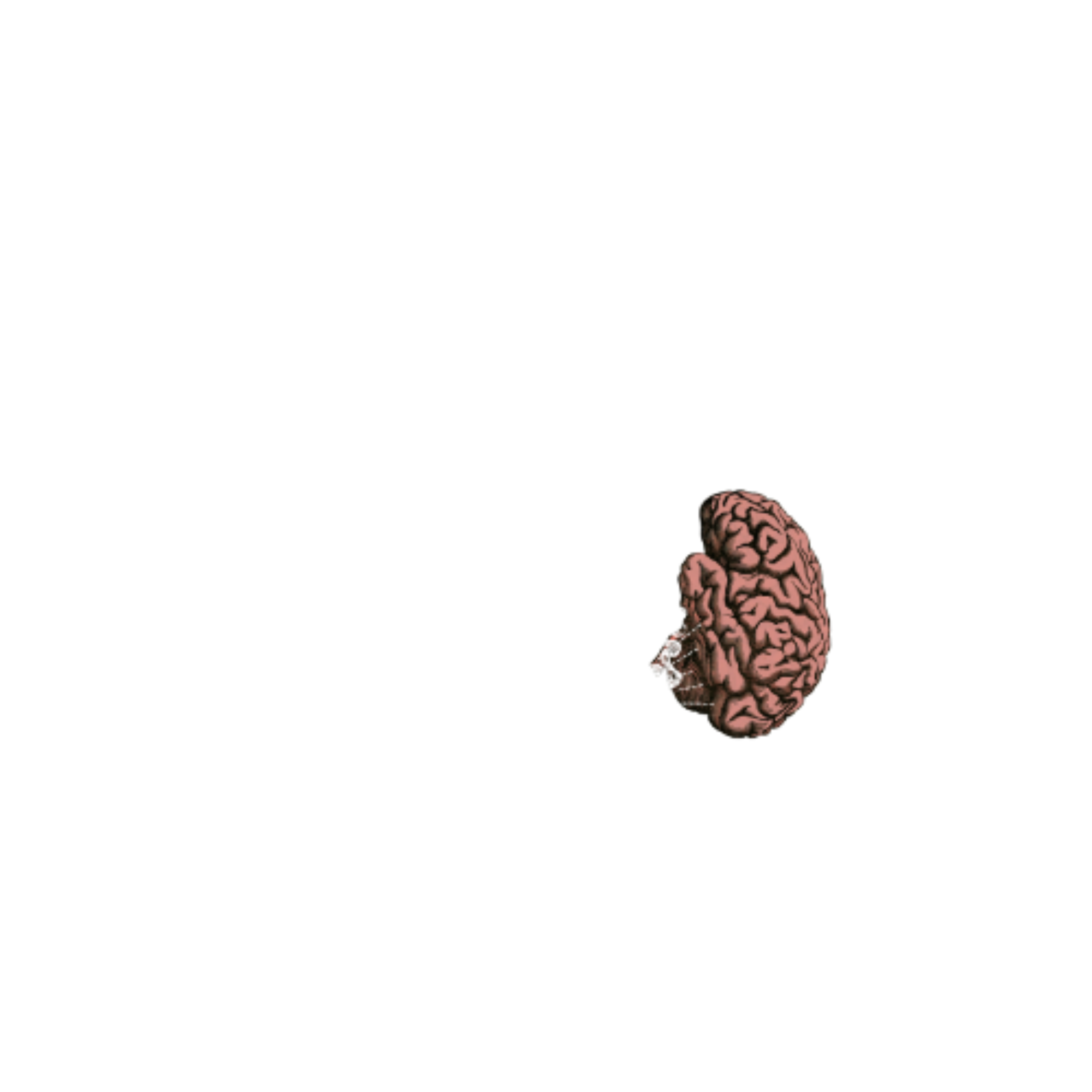 Mentalizacija logo